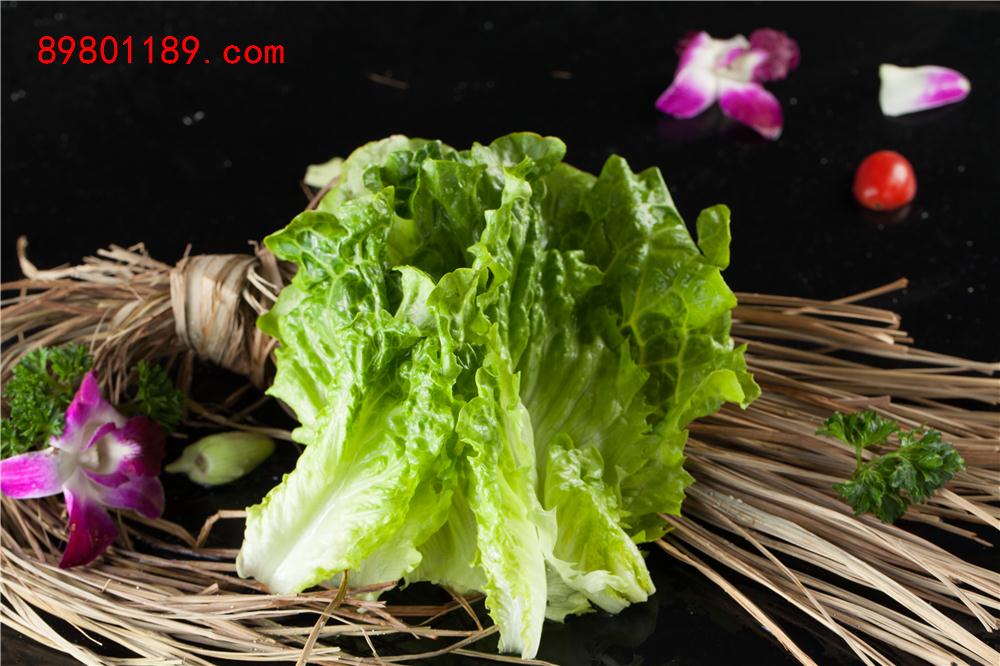 生菜